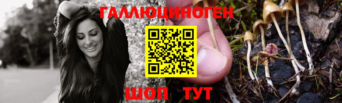 Тольятти  Псилоцибиновые грибы Magic Shrooms  Вход с VPN 